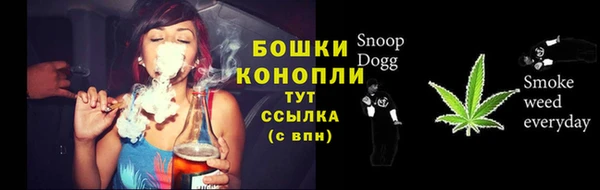 дживик Иннополис