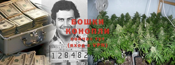дживик Иннополис