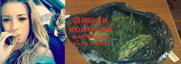 дживик Иннополис
