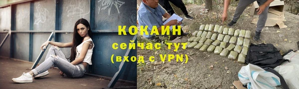 прущая мука Инта